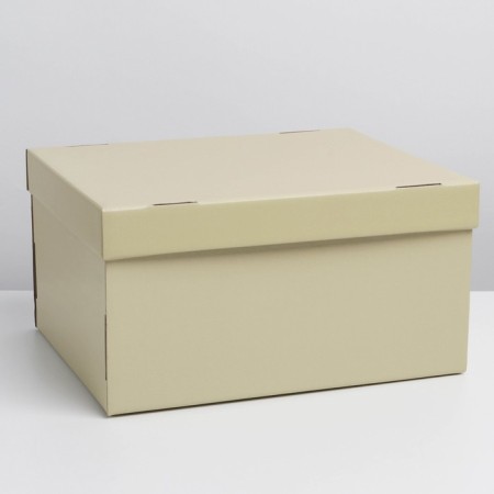 Gift folding box, packaging, "beige", 31.2 x 25.6 x 16.1 cm-1