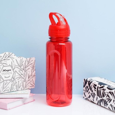 Water bottle, 650 ml, Baraolet, with a drinker, 24 x 7 cm, mix-1