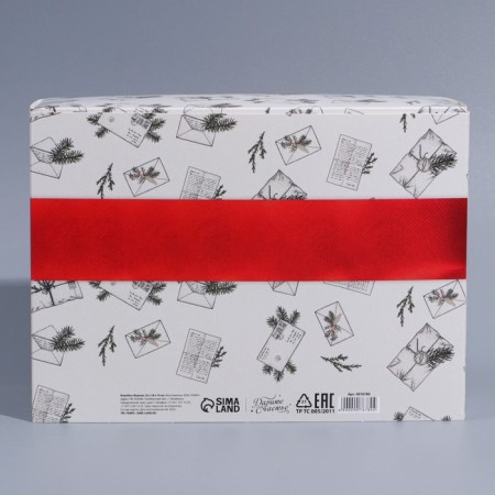 Box the team "New Year's Post", 25 x 18 x 10 cm, New Year-6