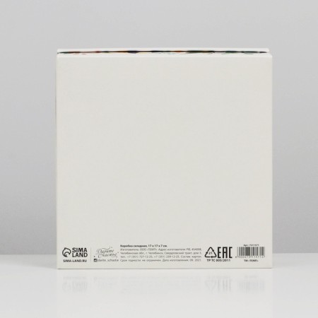 Gift folding box, packaging, “tropics”, 17 x 17 x 7 cm-5