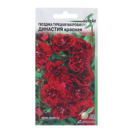 Flowers of cloves Turkish terry "Dynasty F1", 5 pcs