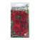 Flowers of cloves Turkish terry "Dynasty F1", 5 pcs