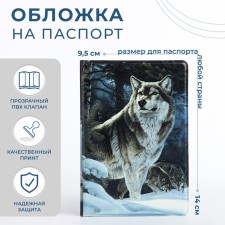 Passport cover, gray color