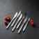 Stainless steel knives are Sentiment, length 23 cm, 6 pcs, silver color