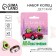 Ring mood "Avonastation", set 2 pcs