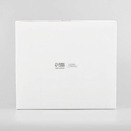Gift box “New Year - Outsiacies”, 23.5 x 20.5 x 5.5 cm, New Year-3