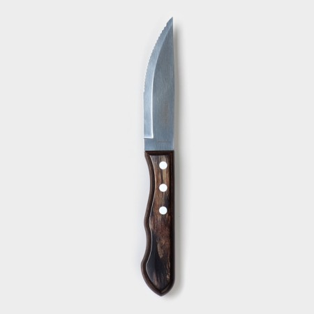 Kitchen knife for meat Tramontina Polywood Jumbo, blade 12.5 cm-1