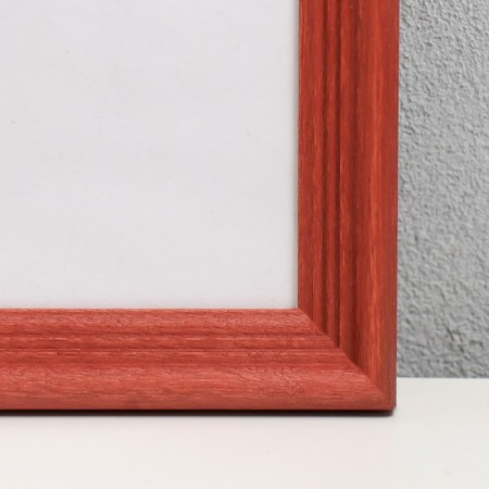 Photo frame tree "Image Art" C18 25x25 cm, (plastic screen), red tree-1