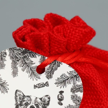 Gift bag "Fairy Tale", 13 x 18 cm +/- 1.5 cm, New Year-3