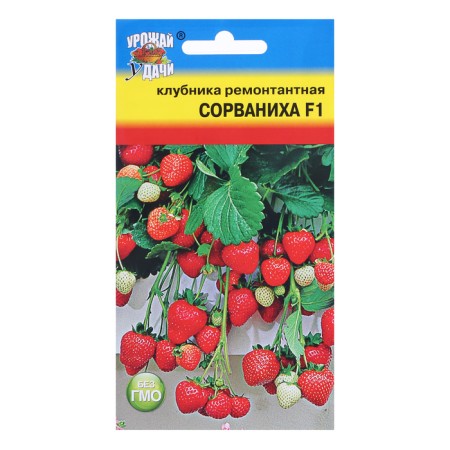 Strawberry seeds Repair. "Break" F1.5 pcs.