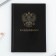 Diary in a solid cover A5, 80 sheets "Coat of Arbitament"