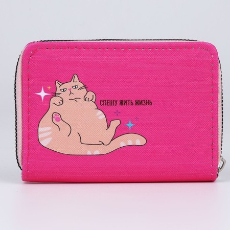 Youth wallet "Everything OK" 12x9.5x2cm-5