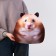 Antistress toy "Hamster"
