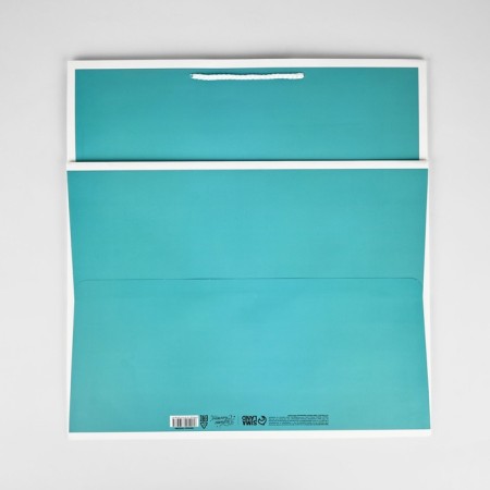 Pack for flowers "Gift", 42 x 44 x 32 cm-4
