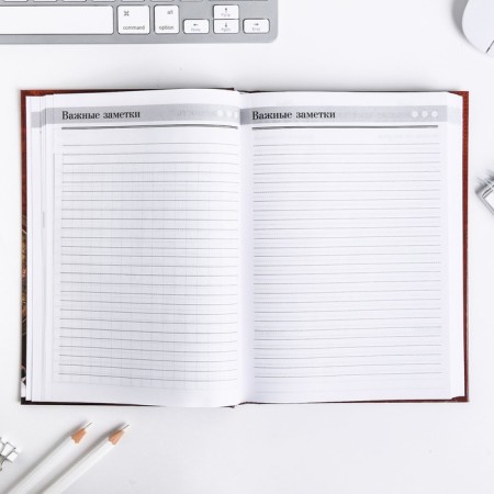 Diary “Teacher: Teacher Diary”, firm cover cardboard 7BC, A5 format, 160 sheets-8