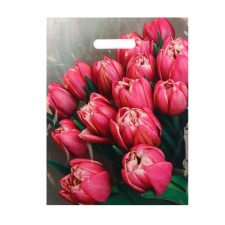Stella package, polyethylene with a cut -off pen 31x40 cm, 60 μm