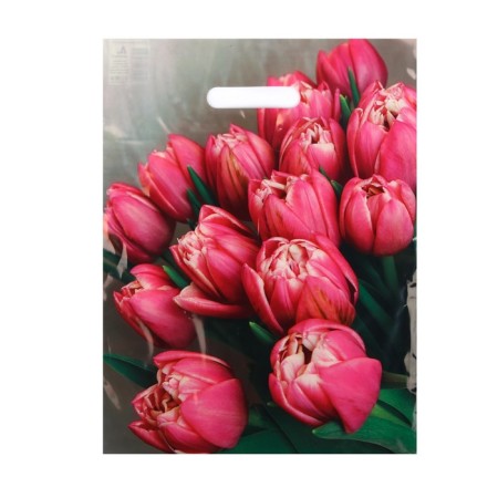Stella package, polyethylene with a cut -off pen 31x40 cm, 60 μm