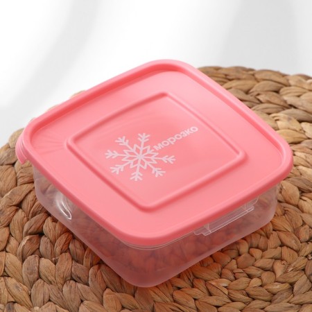 A set of containers for freezing products "Morozko", 3 pcs, 700 ml, color mix-2