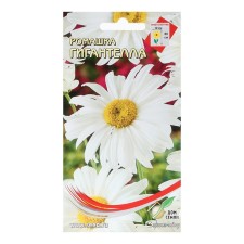 Semen chamomile 