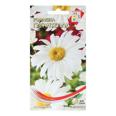 Semen chamomile "Gigantella", 70 pcs