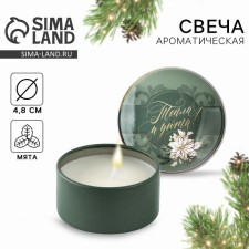 New Year's candle in the Iron Bank “New Year: warmth and comfort“ New Year: Mint, 4.8 cm