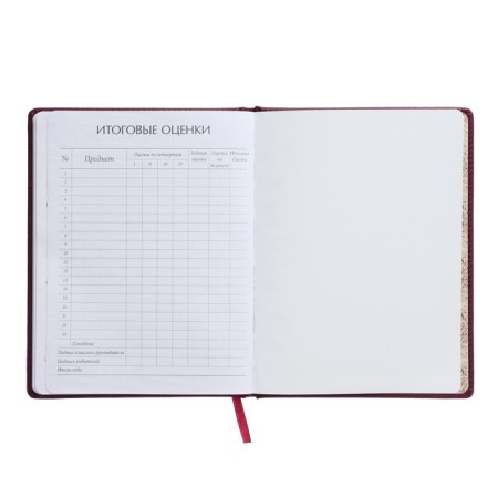 Universal diary for grades 1-11, 48 sheets, Velvet, solid cover, artificial leather, thermoting, liesse, Burgundia-8