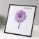 Photo frame plastic LIDA 30x30 cm black (plastic screen)