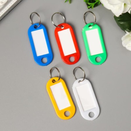 IDDICTOR for keys on the ring of mix 4.8x2 cm-2