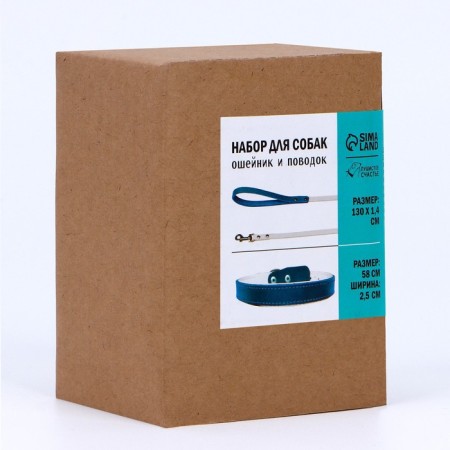 Set of collar (58x2.5 cm) and leash (130x1.4 cm) from eco -leather, turquoise with white-9