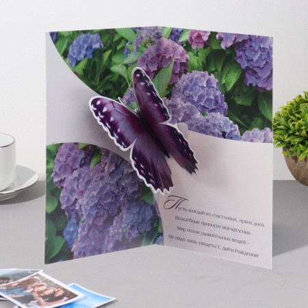The complex is a complex "Happy Birthday!" Hydrangea, a5-2