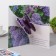 The complex is a complex "Happy Birthday!" Hydrangea, a5