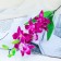 Artificial flowers "Gastrochis orchid" 70 cm, white-violet