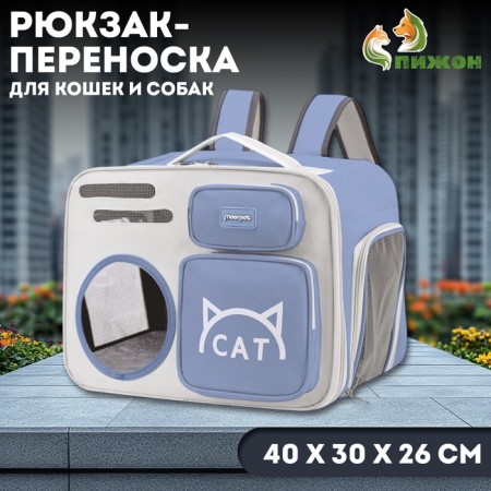 A backpack for carrying cats and dogs, transparent, 40 x 30 x 26 cm, gray-violet