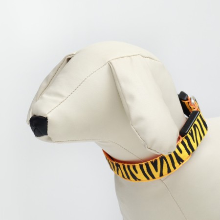 Collar with backlight tiger 3 glow mode MARD MA, Osh 32-50 x 2.5 cm Orange-2