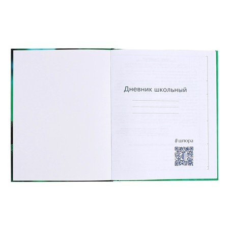 Diary for grades 1-4, solid cover "Drafting", glossy lamination, block 60g/m²-3