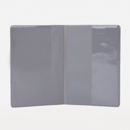 Cover for passport, blue color-2