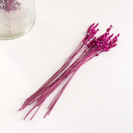 Set of dried flowers "lavender" banch length 30 (+/- 6 cm), pink-3