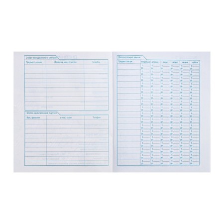 School diary for grades 1-11 Militari, cover of coated cardboard, 40 sheets-4