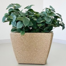 Kashpo for flowers 
