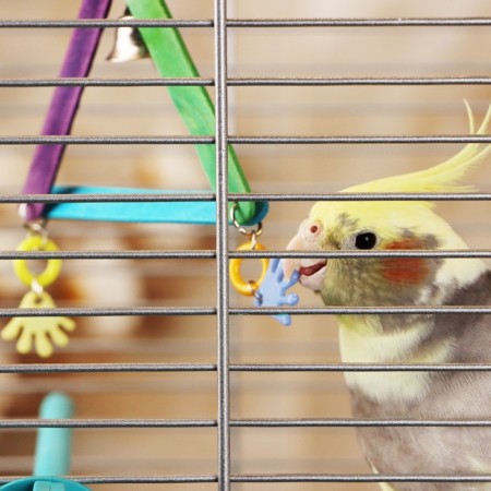 Toy for birds "Multi -colored triangle", with a bell, mix