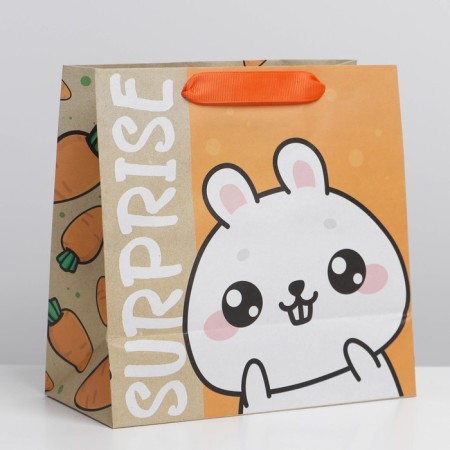 Square gift package package, packaging, “SUPRISE”, 22 x 22 x 11 cm-1