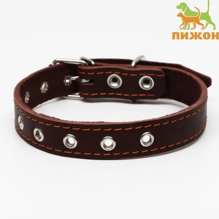 The collar is a single-layer leather, dimensionless, 56 x 2.5 cm, Osh 17-44 cm, brown