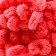 Yarn "Puffy" 100 % micropoliester 9m/100g (619 coral)