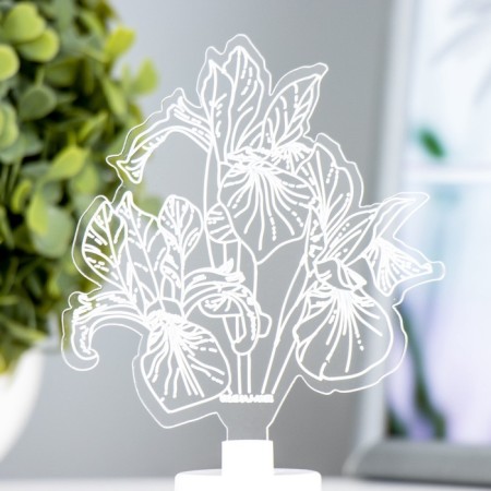 Lamp "Irises" Led RGB 6 colors from batteries LR1130, 3pc 8x9.5 cm Risalux-6