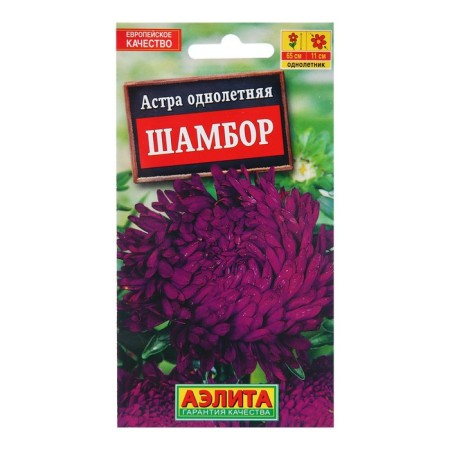 Seeds Astra Shambor Pionovidal ONE C/P 0.2 g