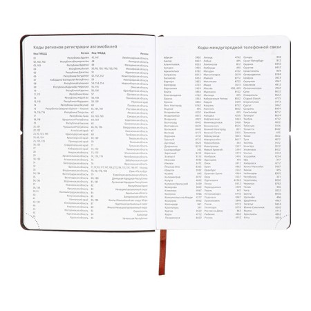 Dated diary 2025, A5 168 sheets, Devente. Saltos, soft leatherette cover, perforation, liesse, block 70, brown-14