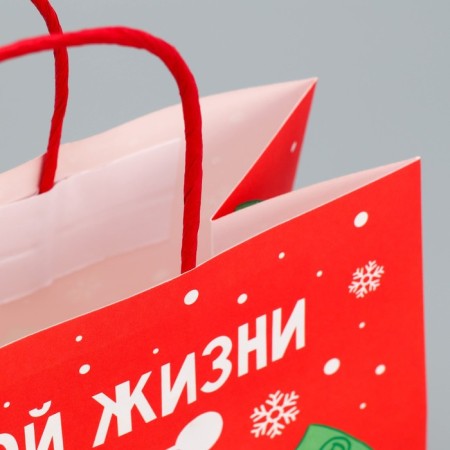 Package Gift Crafts "Something on the Rich", 22 x 22 x 11 cm, New Year-4