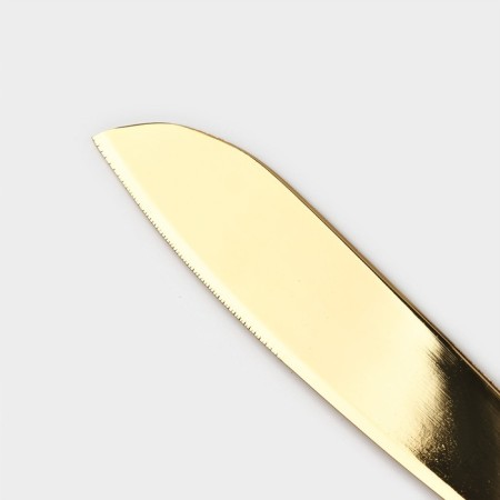 Elegance cake set, 2 items: knife length 28 cm, blade length 26 cm, gold color-2