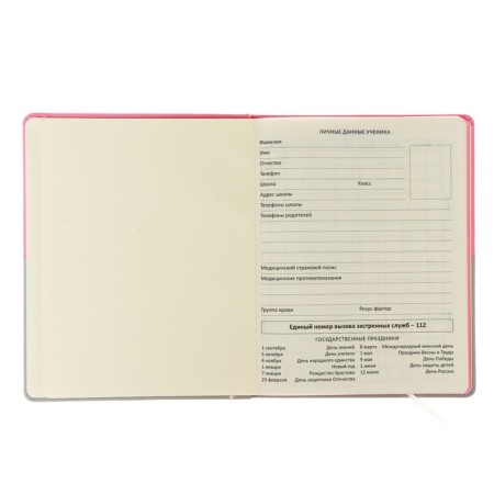 Universal diary for grade 1-11 CAT, hard cover, artificial leather, silk-screen printing, liesse, 80 g/m2-3