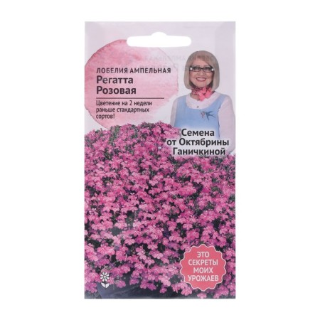 Lobelia flowers "Ragatta Pink", 10 pcs